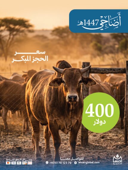 بقرة أضحيتك هدية العيد للمحتاجين